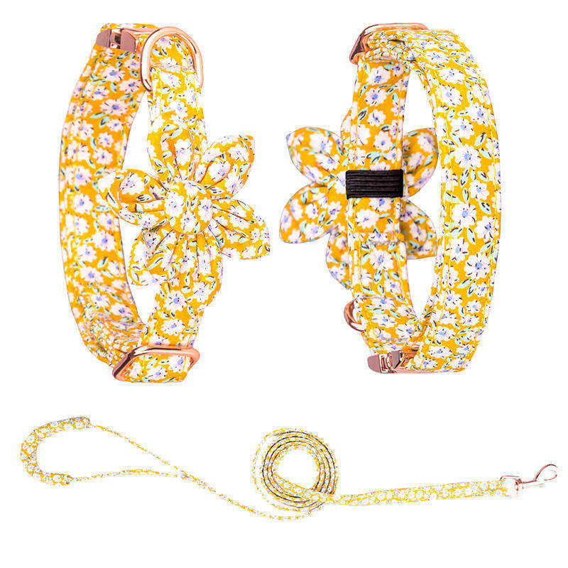 สีเหลือง