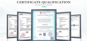 Vélos électriques à pneus larges pour adultes Yangor H700, 25 km/h-50 km/h, vélos électriques à pneus larges pour adultes, vélo électrique en provenance <span class=keywords><strong>d</strong></span>'un entrepôt européen - Product Image 6