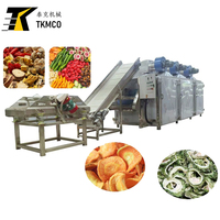 TEK Fabrieks Prijs Continue Banddroger 3 Lagen Continue Droger voor Fruit Deshidratador De Frutas De Cinta De Malla