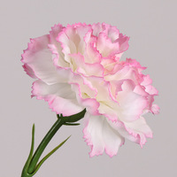 Grossiste Fleurs Artificielles de Qualité Supérieure, Œillets Réalistes Blancs et Roses pour Mariages et Décoration Intérieure