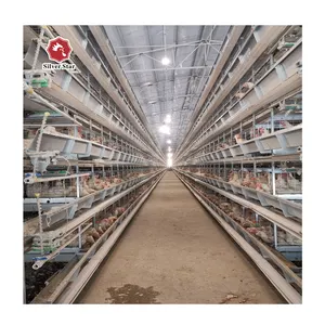 High Quality H Types Chicken Cages And Farm Metal Small Trusses Layered Chook Houses For Sale