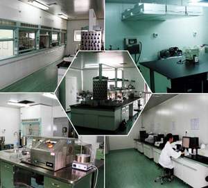 Fabricante GMP de 20 años, venta al por mayor, crospovidona PVPP, productos químicos de uso diario, pasta de dientes, espesante, estabilizador dispersante - Product Image 4