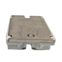 Module de diode Schottky SiC 1200V 30A, type isolé, pour stockage d'énergie et onduleurs haute puissance