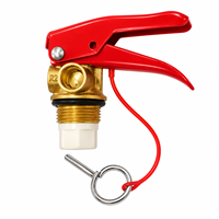 Valve de tête d'extincteur CO2 à poignée rouge certifiée CE en laiton pour bouteilles de 1 à 12 kg, OEM disponible