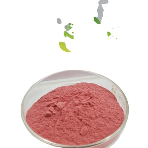 ผงใบบีทรูทผงสารสกัดจากหัวผักกาดแดง99% เบต้า vulgaris ผงเนื้อบีทรูท - Product Image 3