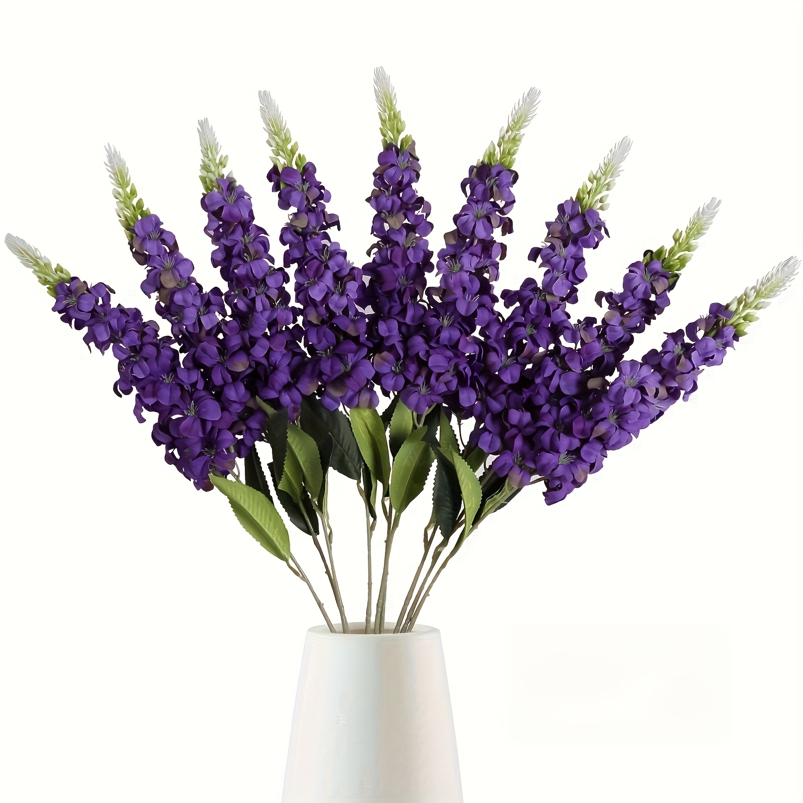 Pourpre