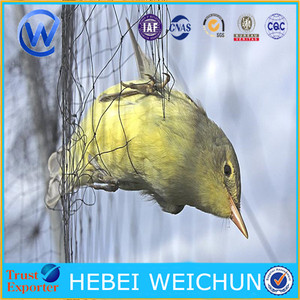 Captura de aves <span class=keywords><strong>neting</strong></span>/malla tamaño 2mm plástico anti Red del pájaro - Product Image 1