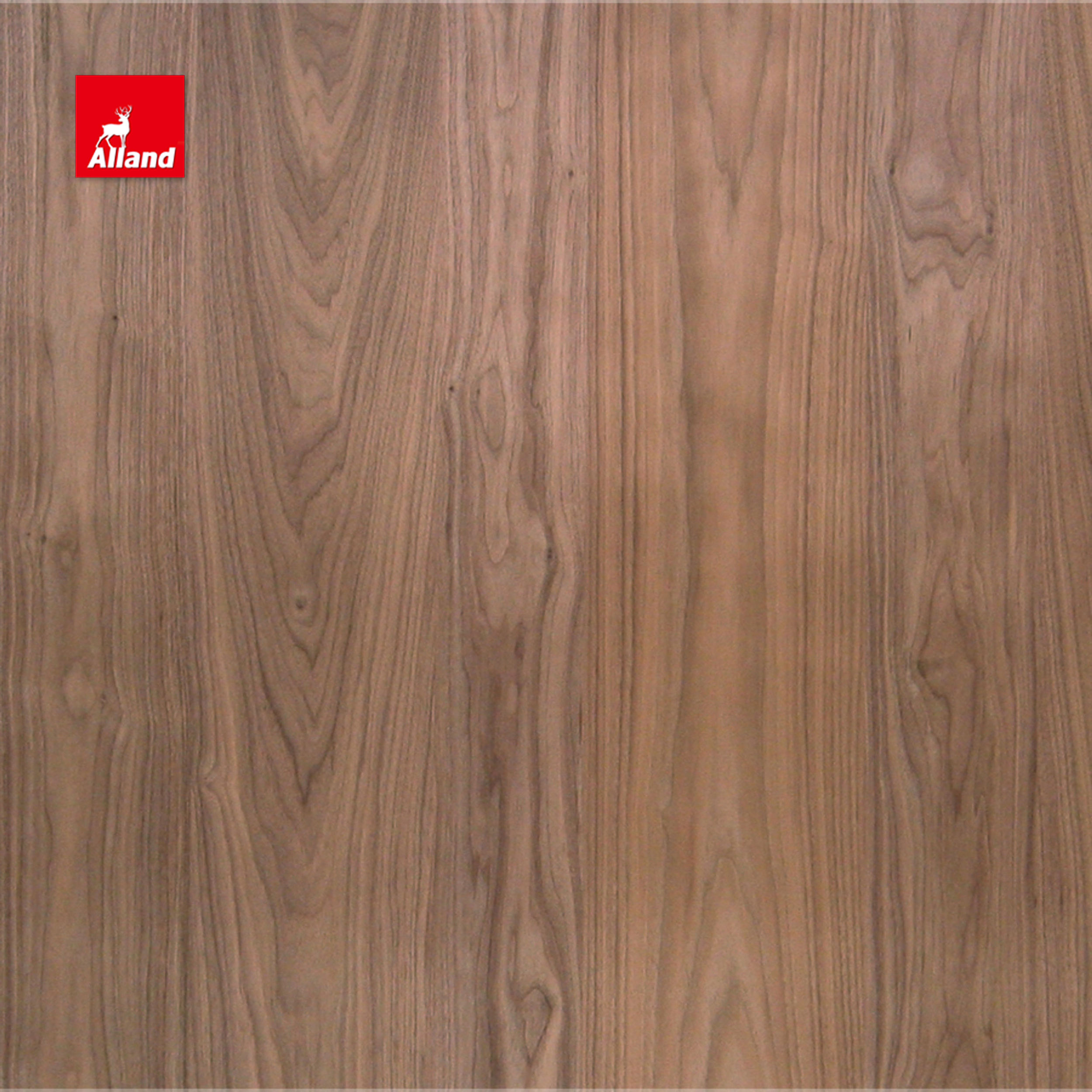 Walnut