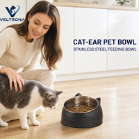 Gamelle surélevée en acier inoxydable pour chat, inclinée pour la protection du cou, anti-déversement, pour nourriture et eau, vente en gros, vert, noir, bleu, rose