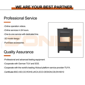 Poêle à bois d'intérieur compact et écologique R0603A 5,5 kW pour le chauffage et le réchauffement avec alimentation en air secondaire - Product Image 3