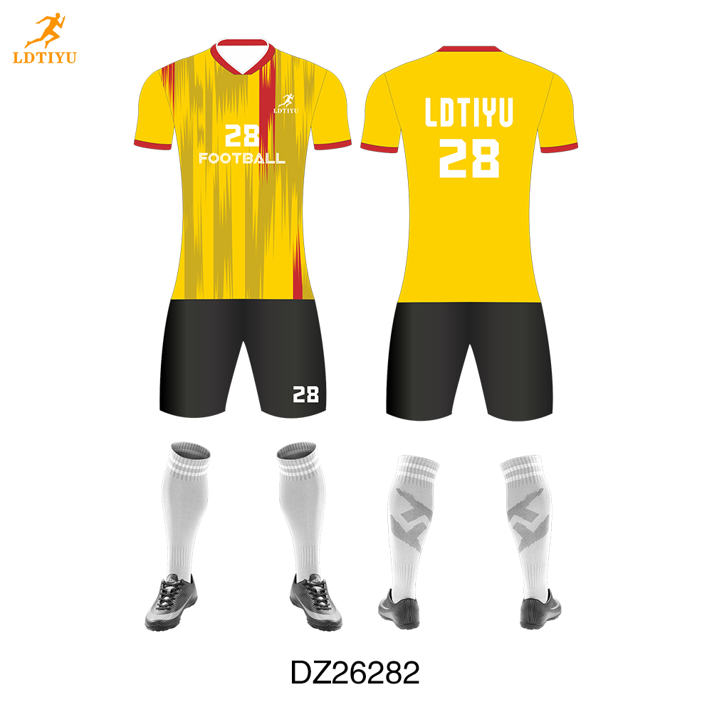 DZ26282
