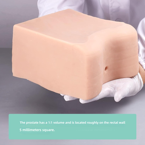 Modello in Silicone per Addestramento alla Biopsia Prostatica 1:1, Modello a Densità Tissutale per Pratica di Puntura Guidata ad Ultrasuoni - Product Image 4