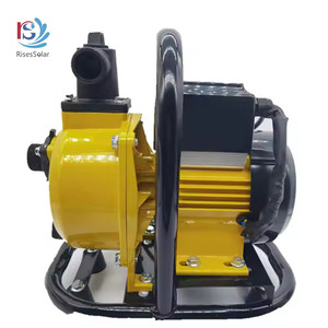 RisesSolar 750w <b>Solar</b> Powered Water <b>Pump</b> <b>Solar</b> Surface <b>Pump</b> With MPPT Controller Brushless Centrifugal <b>Pump</b> for Agriculture RSCQ - Product Image 5