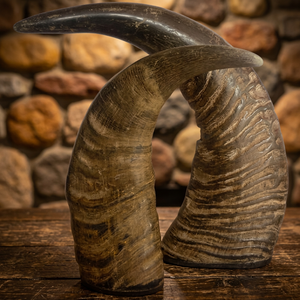 Pointes de corne de buffle sculptées à la main de haute qualité - Couleur naturelle personnalisée en gros pour usage domestique et en restauration - Product Image 3