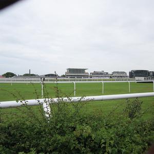 Paneles blancos de PVC para vallas de caballos para competiciones de saltos con diseño de piquete y puertas para arenas al aire libre - Product Image 2