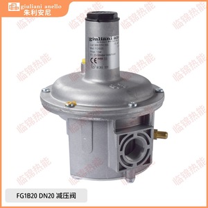 Italian Giuliani Pressure Regulating <b>Valve</b> FG1B15/FG1B20/FG1B25 Gas <b>Control</b> Structure Gas Pressure Reducing <b>Valve</b> - Product Image 2