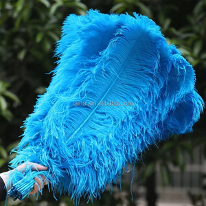 Grosir mode warna-warni hijau limau bulu burung unta panjang bulu burung unta gambar biru muda bulu burung unta pada bahan