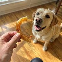 Friandises pour chiens en cuir de buffle naturel DOU CHONG, à mâcher, au collagène, couleur ambre doré, longue durée, sans céréales, certifiées BRC, vente en gros