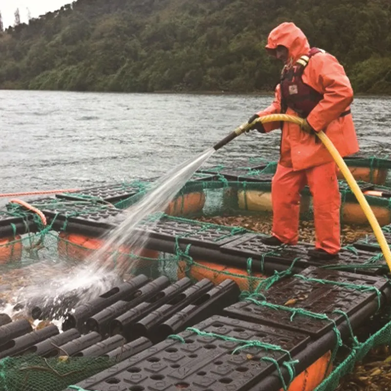 Sea Cucumber and Abalone floating cage for sale