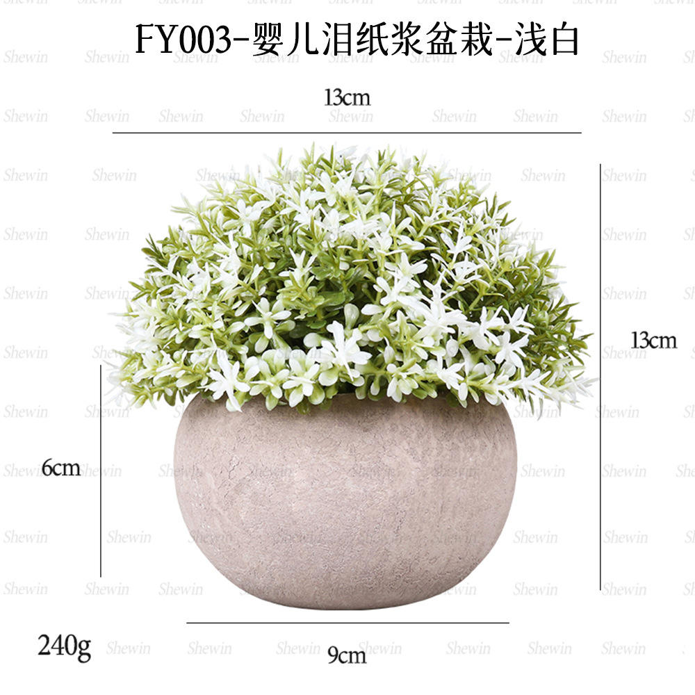 Plante en pot de pulpe de larmes de bébé (blanc)