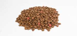 Croquettes sèches à haute teneur en protéines et à faible teneur en glucides pour chiens disponibles en gros avec des services de production OEM - Product Image 5