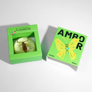 ユニークに設計された半円形レシン紙重量本物の剥製サソリでルーサイト装飾ハロウィーンの装飾のための完璧なお土産 - Product Image 6