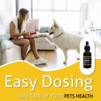 Huile de chanvre biologique de marque privée OEM pour le soulagement du stress réduire l'anxiété 100% gouttes apaisantes de chanvre biologique pur pour animaux de compagnie