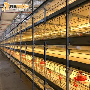 Retech Farming Battery Chicken Birds Growing Automatic Broiler Chicks Cage for sale