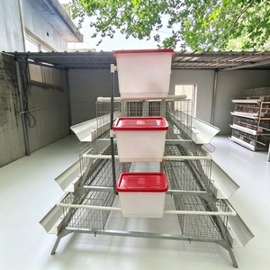 Equipo Automático Galvanizado para Gallinas Ponedoras, Jaulas de Acero para Aves de Corral, para Granjas Avícolas, en Oferta - Product Image 2