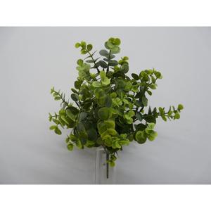 EUCALIPTUS X5 35CM GR - Product Image 1