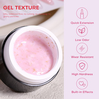 Kit de Polygel Écologique Sans HEMA et Sans TPO pour Ongles – Collection de Gels Durs pour Salons de Manucure