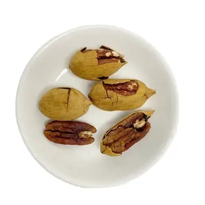 Chất lượng cao khô haverst Pecan Nuts tươi chế biến tại Trung Quốc bán buôn bán