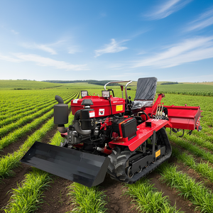 Tractor de 25/30/40 Caballos de Fuerza con Motor Monocilíndrico, Certificación EPA, 6 Marchas Adelante, Maquinaria de Construcción con Orugas Completas - Product Image 1