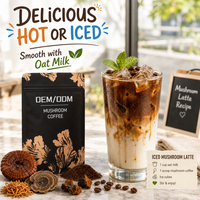 Poudre de café aux champignons 5-en-1 fonctionnelle OEM ODM, base riche en Arabica, mélange de boisson énergisante instantanée, directement de l'usine