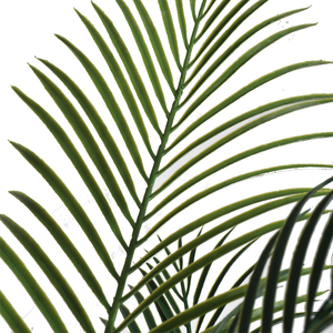 Palmera Bonsái Artificial Ligera Hecha a Mano, Tamaño Personalizado, Ecológica, Resistente a los Rayos UV, para Interiores y Exteriores, Hogar y Oficina - Product Image 4