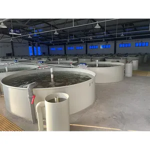 RAS Equipment Recirculation Aquaculture System Layout Design Indoor Fish Farming For Freshwater Prawn