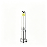Pompe solaire submersible à double usage AC/DC, haut débit, grand calibre, pour l'irrigation agricole, en acier inoxydable, pour puits profonds