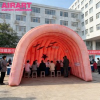 Túnel Inflable Personalizado con Modelo de Colon para Exhibición de Ciencias Médicas