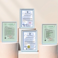 Poudre d'assaisonnement à l'essence de poulet séché mélangée, saveur naturelle, certifiée Halal, 1 kg, pour viande, fruits de mer, légumes grillés, usage domestique