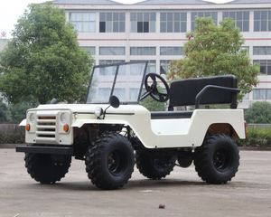 Игрушки <span class=keywords><strong>150cc</strong></span> шасси автоматический привлекательный дизайн Willys <span class=keywords><strong>150cc</strong></span> распродажа <span class=keywords><strong>150cc</strong></span> для детей мини willys внедорожные мотоциклы - Product Image 6