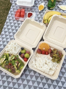 Bền vững bã mía đưa ra thực phẩm container compostable mía vỏ sò hộp sinh thái thân thiện phân hủy sinh học ăn trưa hộp - Product Image 4