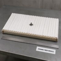 Module en fibre céramique blanche haute résistance 1000°C, bloc d'isolation thermique réfractaire, taille personnalisable pour four industriel
