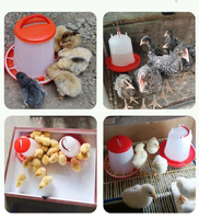 Hainiu HT-03 Nouveau Mangeoire Automatique PP pour Poulets avec Garantie, Bac d'Alimentation pour Élevage Avicole, Rouge, Longue Durée de Vie