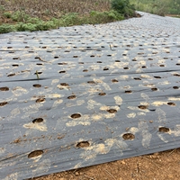 Toile de paillage anti-mauvaises herbes en tissu agricole noir PP tissé pour l'aménagement paysager agricole