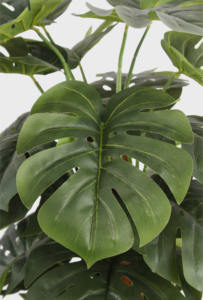 Fábrica al por mayor barato de alta calidad 180cm <span class=keywords><strong>en</strong></span> maceta verde bonsái plástico Monstera árboles artificiales árbol grande para decoración del hogar - Product Image 5