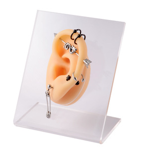 Soft <b>Silicone</b> Ear Model with Stand Colorful Human Ear Piercing Training Display <b>Tool</b> for Jewelry Practice - Product Image 4