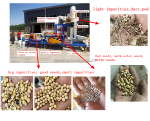 Nettoyeur de graines robuste pour millet, <span class=keywords><strong>sarrasin</strong></span>, teff – Machine commerciale de séparation et de nettoyage des grains et semences – Nettoyeur de millet - Product Image 4