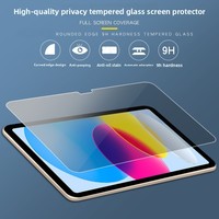 Protection d'écran en verre trempé anti-espion pour iPad Pro 11 / 13 pouces 2024 Installation sans bulles