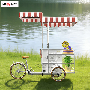 Chariot à main électrique à 2 roues en fibre de verre personnalisé, chariot de livraison de nourriture de rue, chariot de crème glacée avec congélateur d'affichage à vendre - Product Image 5