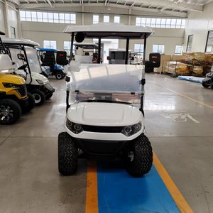 Carrito de Golf Eléctrico Todoterreno con Caja de Carga de Acero - Product Image 2